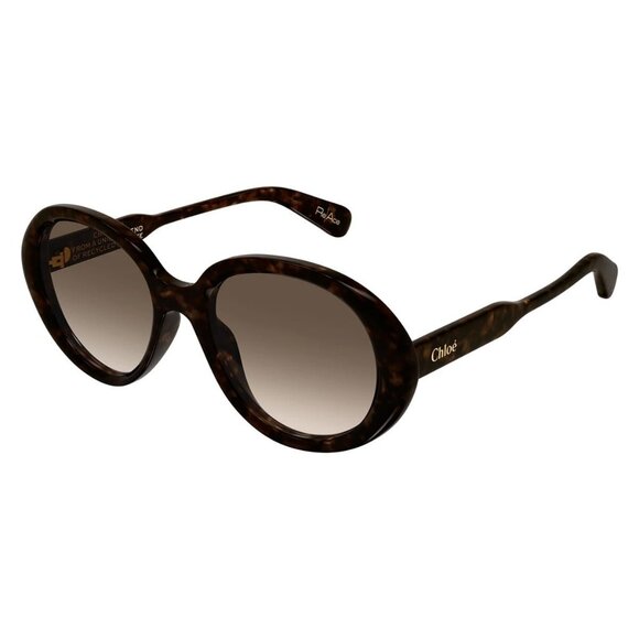 A2946Z New CHLOE Gayia Havana Square CH0221S 002 Sunglasses Women - Picture 1 of 4